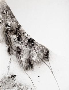 Toile encre de Anne K